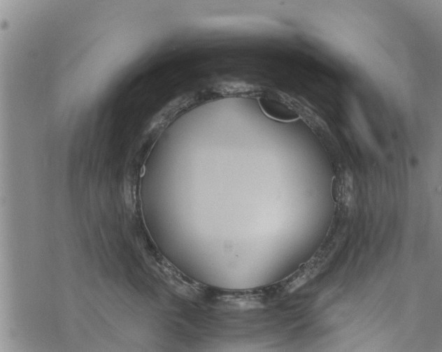 X0000073920763200609082238