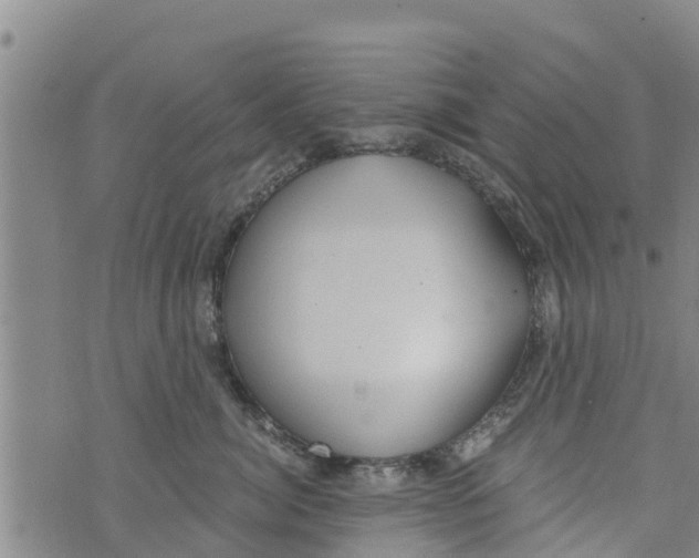 X0000073920764200609082238