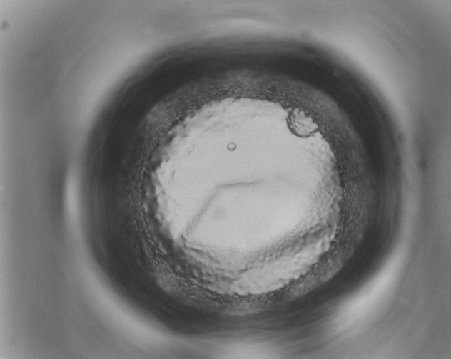 X0000073920765200609082238