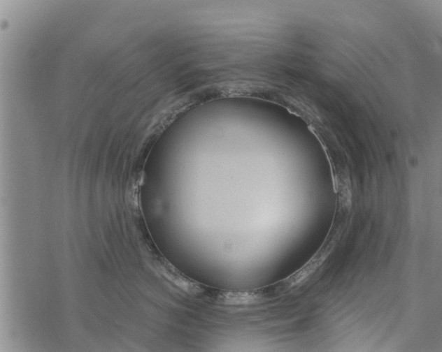 X0000073920766200609082238