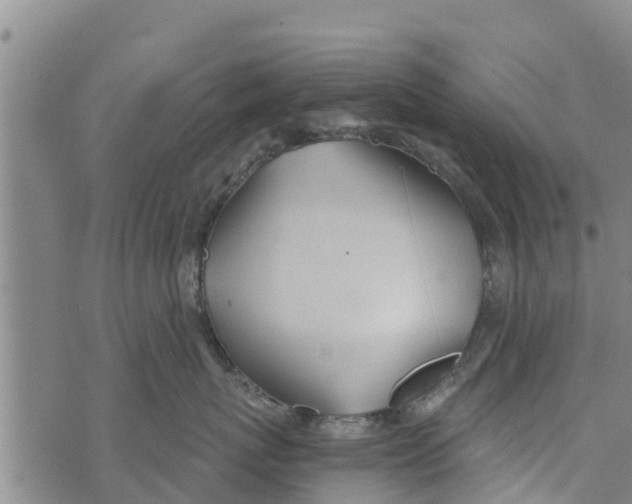 X0000073920767200609082238