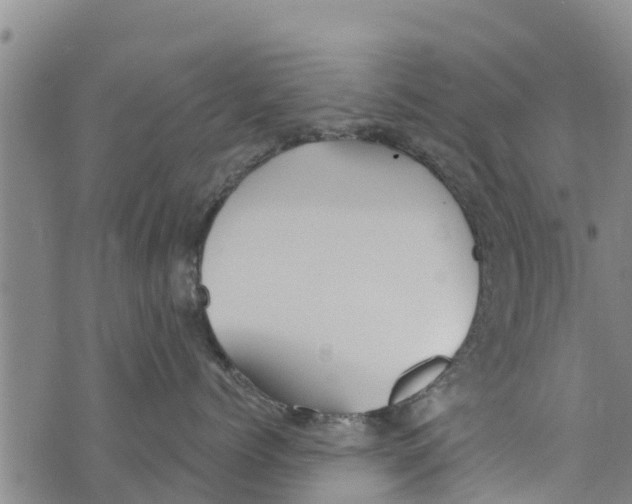 X0000073920768200609082238