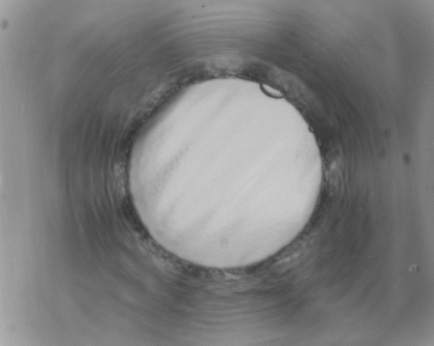 X0000073920772200609082237