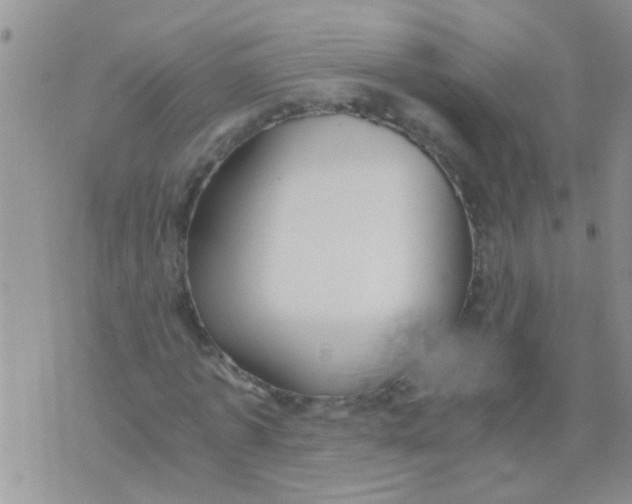 X0000073920773200609082237