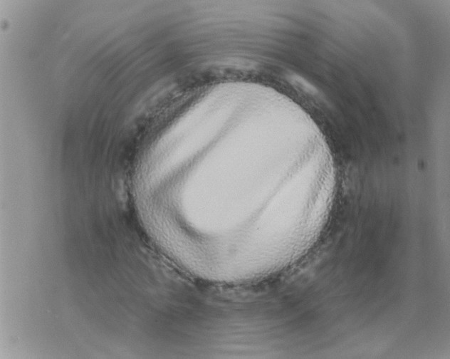 X0000073920774200609082237