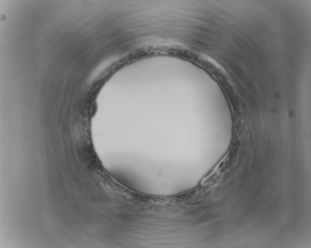 X0000073920775200609082237