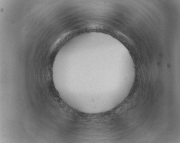 X0000073920776200609082237