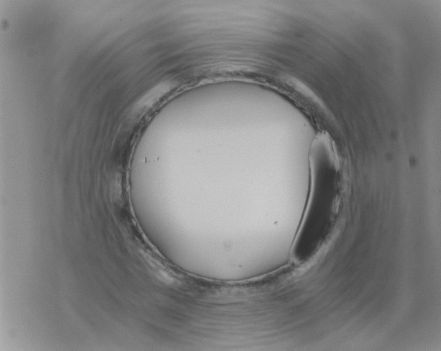 X0000073920777200609082237