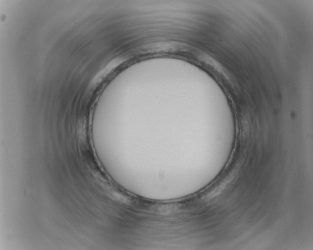 X0000073920778200609082237