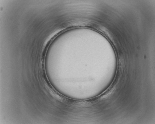 X0000073920779200609082237