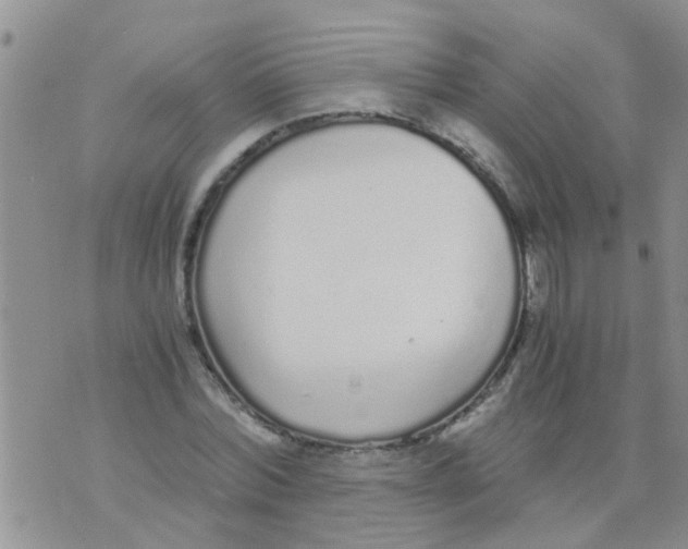 X0000073920780200609082237