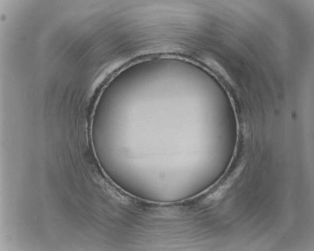 X0000073920781200609082237