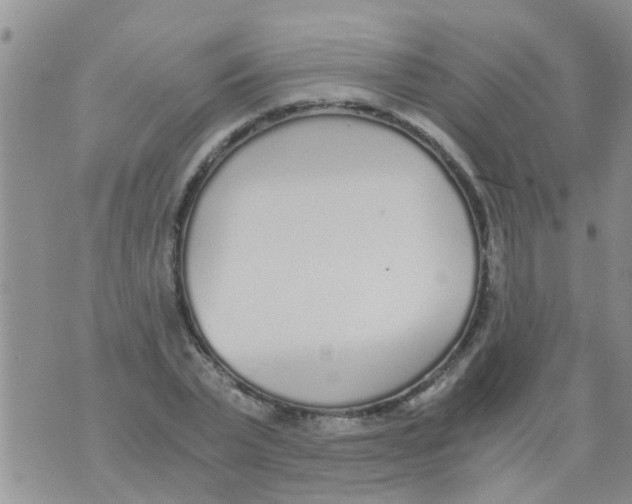 X0000073920783200609082237