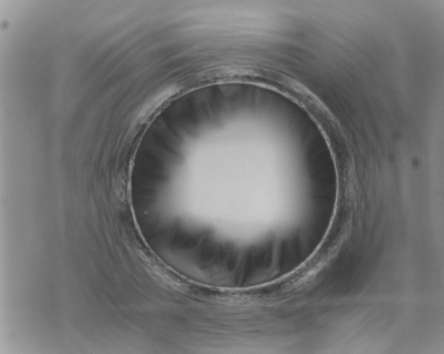 X0000073920785200609082237