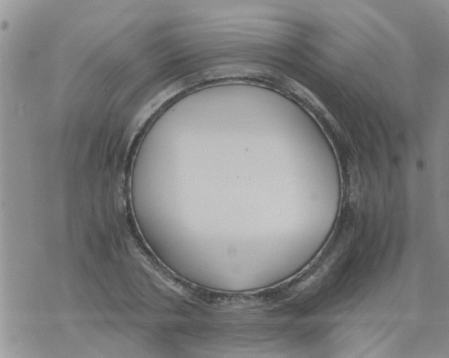 X0000073920786200609082237