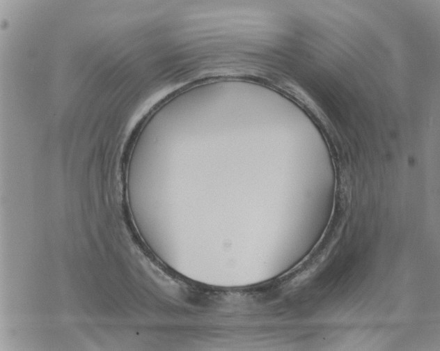 X0000073920787200609082237