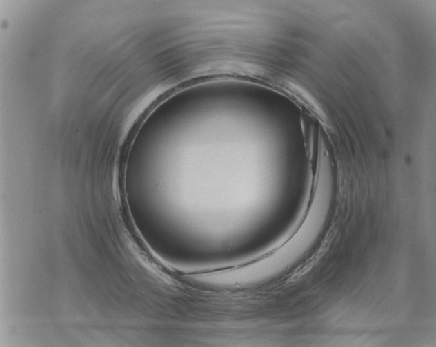 X0000073920788200609082237