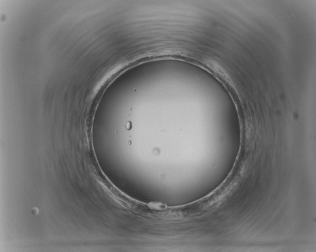 X0000073920789200609082237