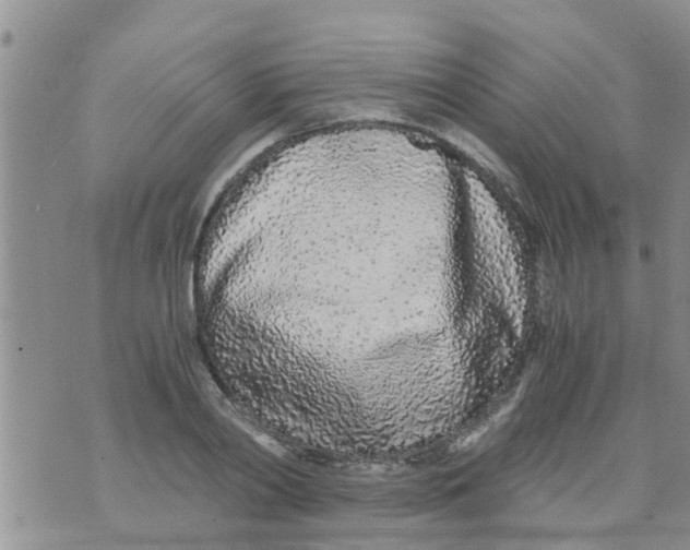 X0000073920790200609082237