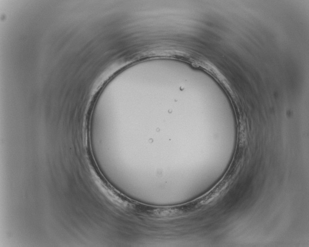 X0000073920795200609082236