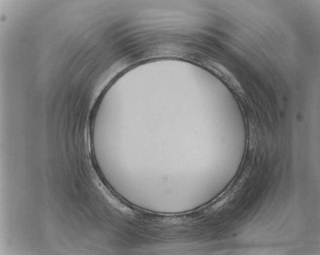 X0000073920796200609082236