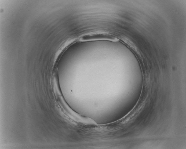 X0000073920797200609082236