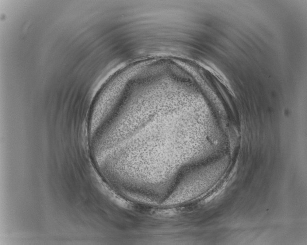 X0000073920798200609082236