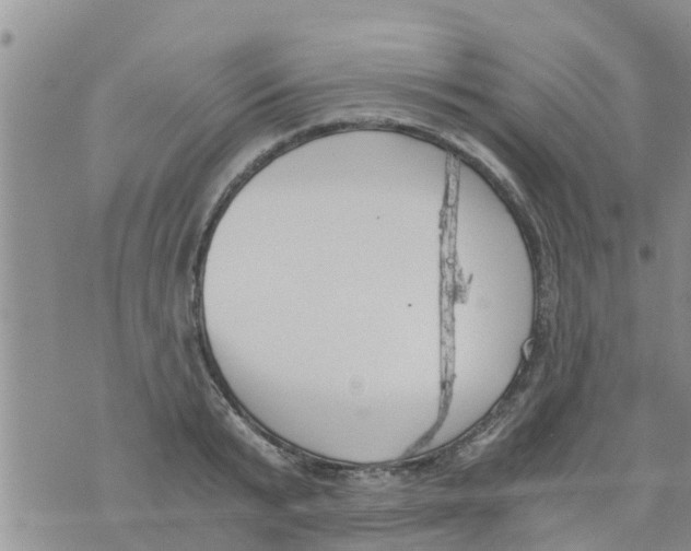 X0000073920799200609082236