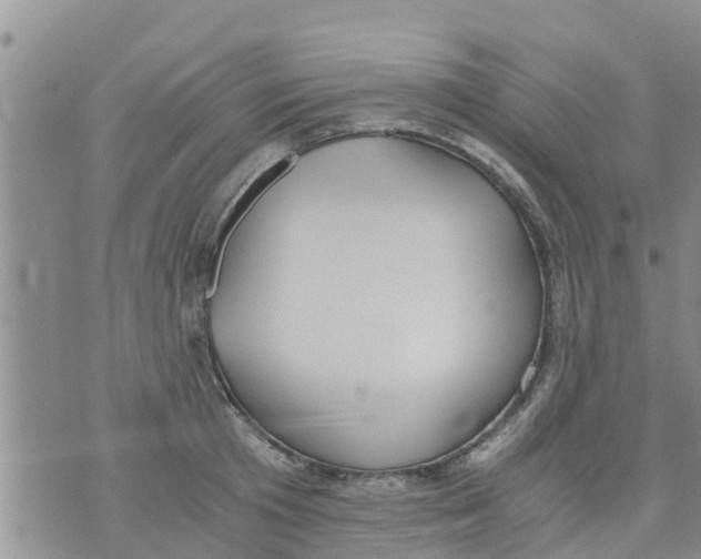 X0000073920801200609082236