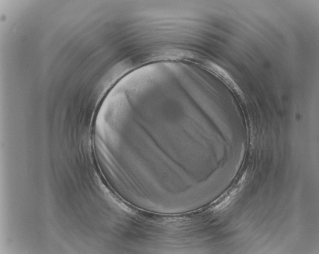 X0000073920802200609082236