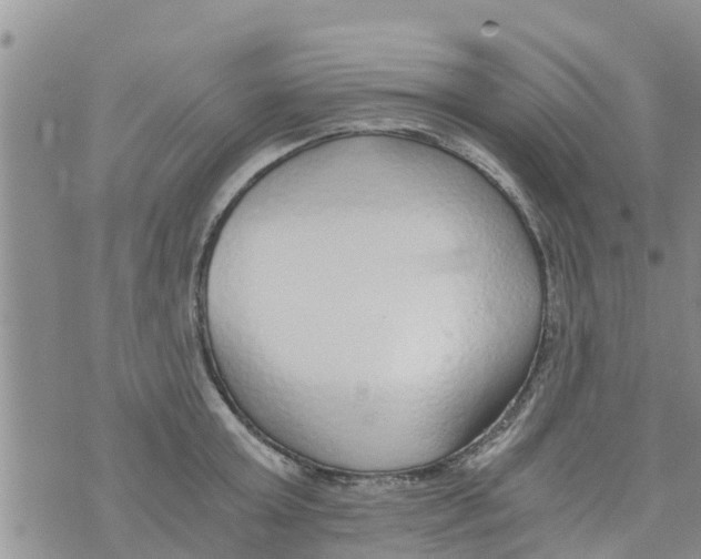 X0000073920803200609082236