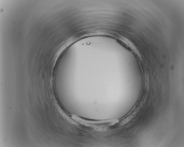 X0000073920805200609082236