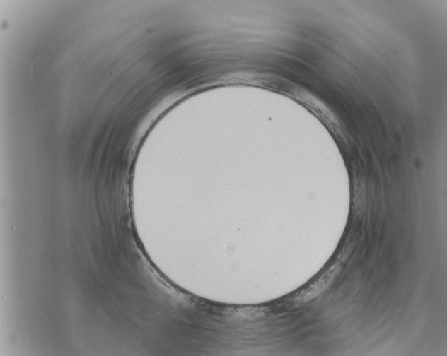 X0000073920808200609082236