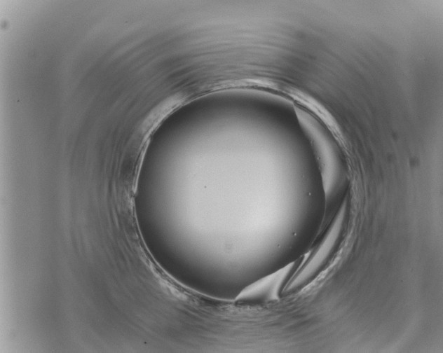 X0000073920809200609082236