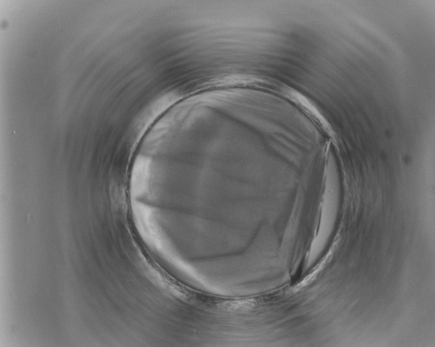 X0000073920810200609082236