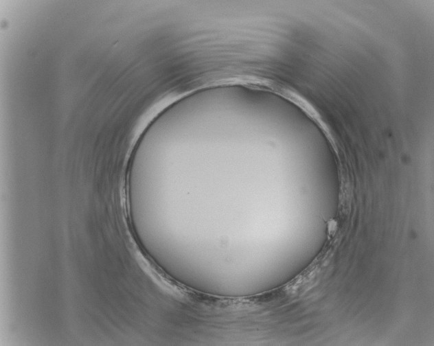 X0000073920811200609082236