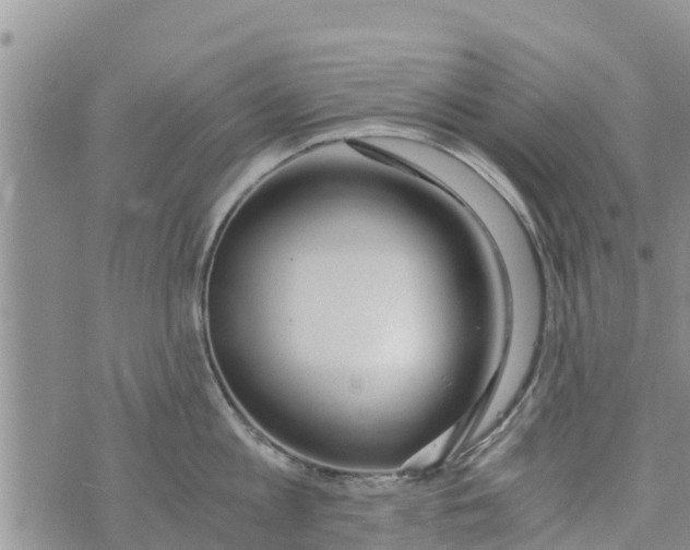 X0000073920813200609082236