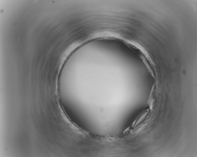 X0000073920815200609082236