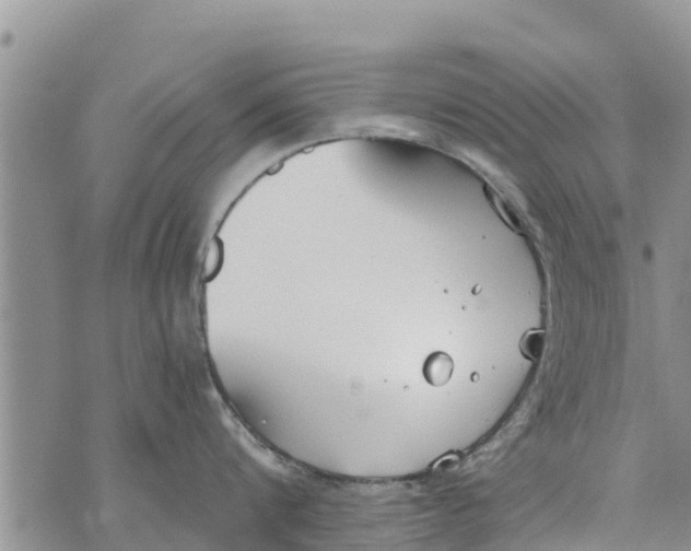 X0000073920816200609082236