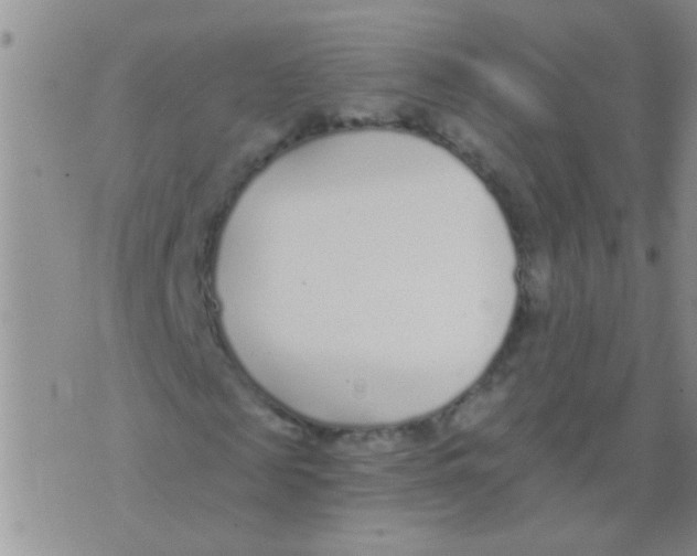 X0000073920817200609082235