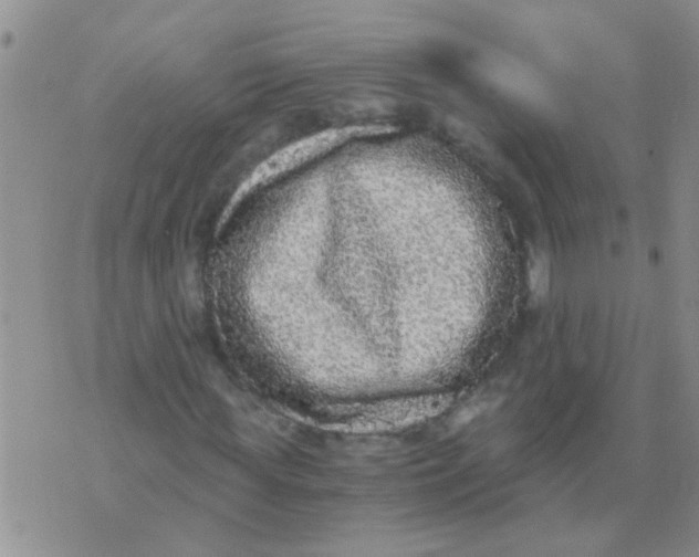 X0000073920819200609082235