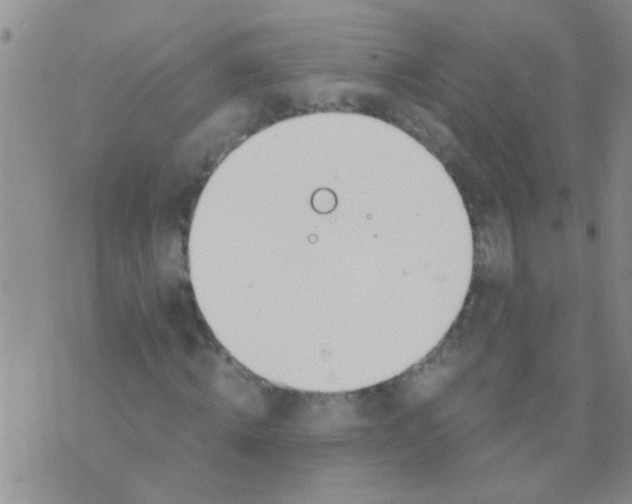 X0000073920820200609082235