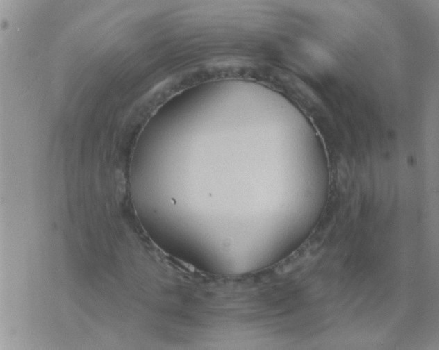 X0000073920821200609082235