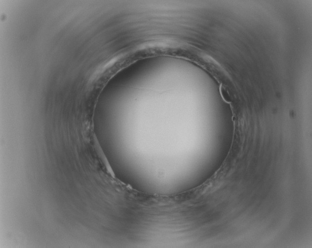 X0000073920822200609082235