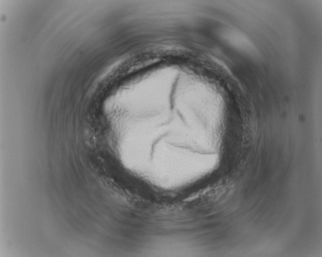 X0000073920823200609082235