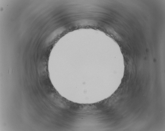 X0000073920824200609082235