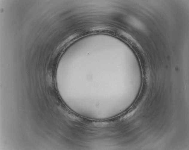 X0000073920825200609082235