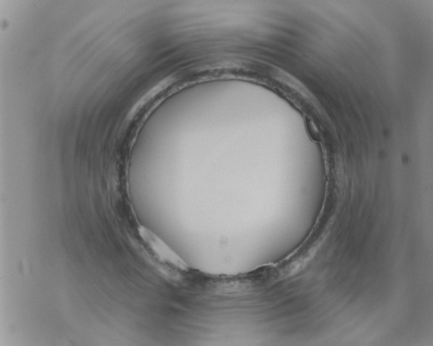 X0000073920826200609082235