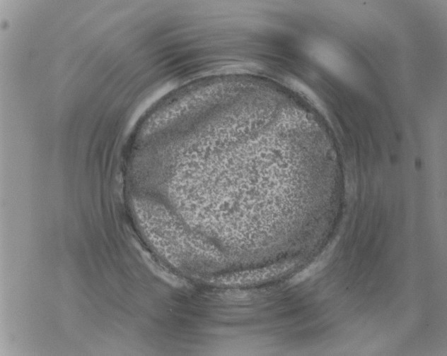 X0000073920827200609082235