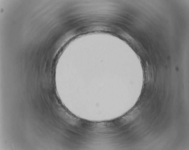 X0000073920828200609082236